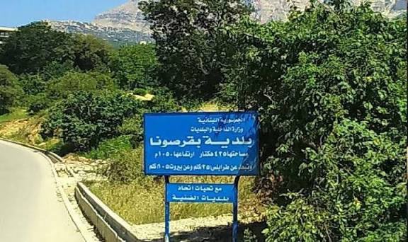 إصابة فتاة بلدغة أفعى في بقرصونا – الضنية