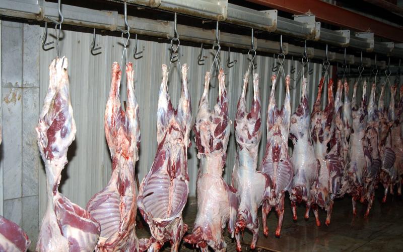 فضيحة صحية … عظام وجلود تُباع للمصانع