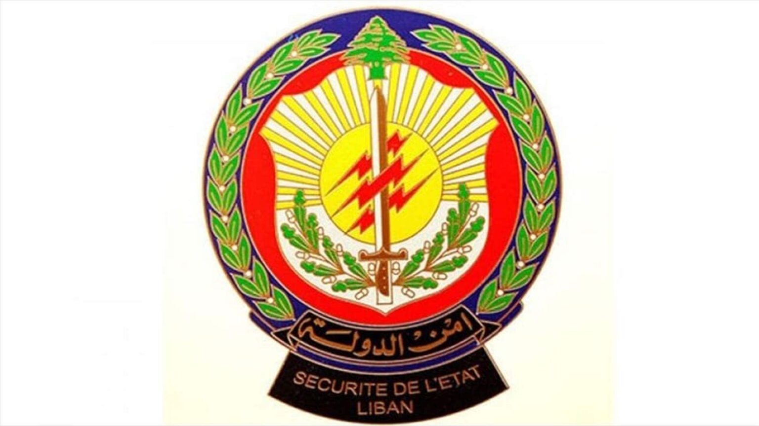 أمن الدولة تحبط عملية تزوير للاستيلاء على عقار بقيمة نصف مليون دولار