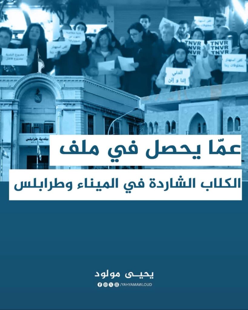 يحيى مولود:ملف الكلاب الشاردة بين حسن النية وغياب المسؤولية الرسمية