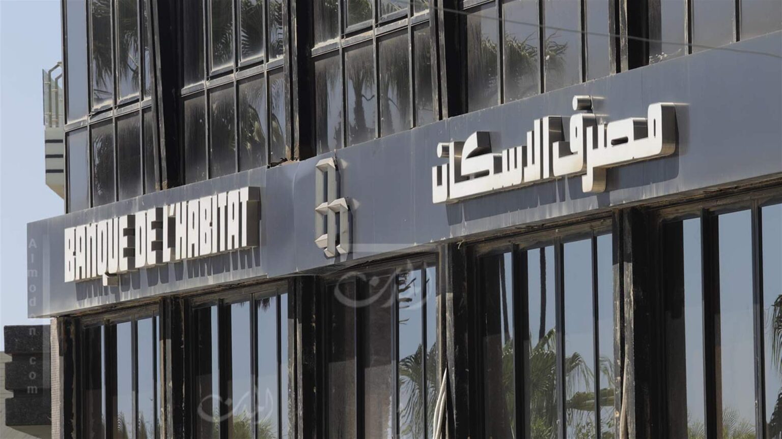 مصرف الإسكان: تنظيم العمل في الخارج خطوة حكيمة لحماية الكفاءات