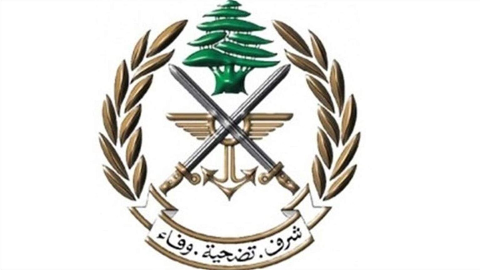 الجيش: ندعو المواطنين إلى التريّث في العودة إلى القرى والبلدات الجنوبية مع استمرار الاعتداءات الإسرائيلية