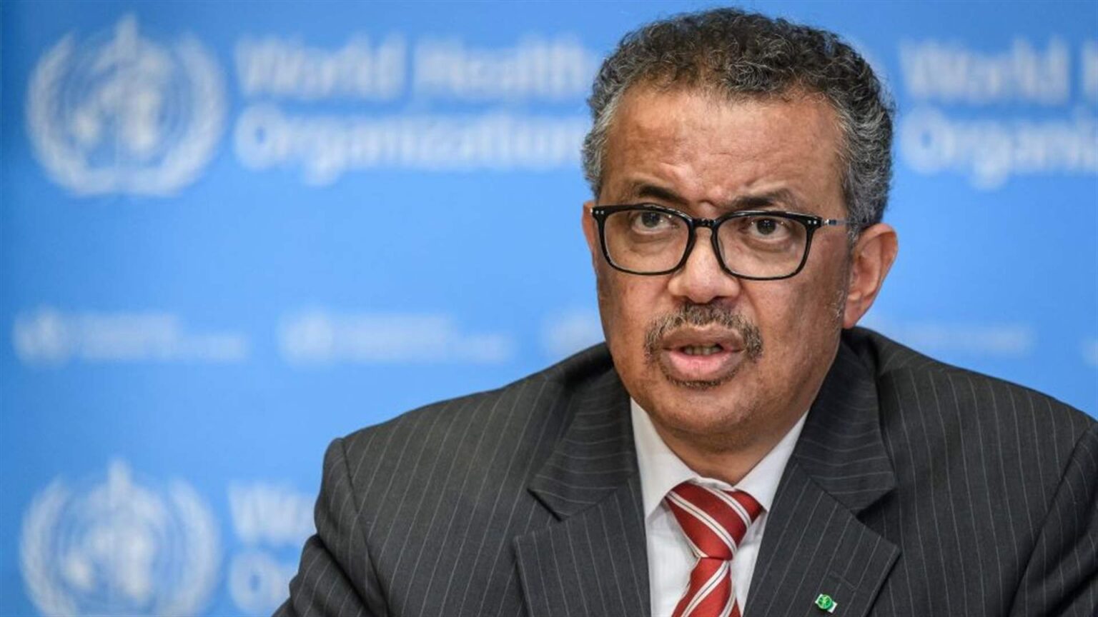 مدير منظمة الصحة لفرانس برس: انتشار فيروس هانتا لا يشبه بداية تفشي جائحة كوفيد-19
